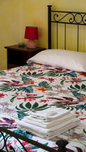 House Gallery Sardinia -Il Sogno-